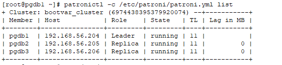 Patroni Leader replica Status